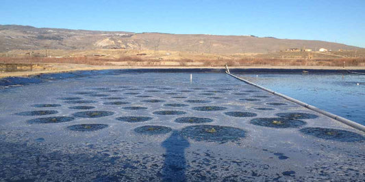 Lagoon Systems Can Provide Low-Cost Wastewater Treatment